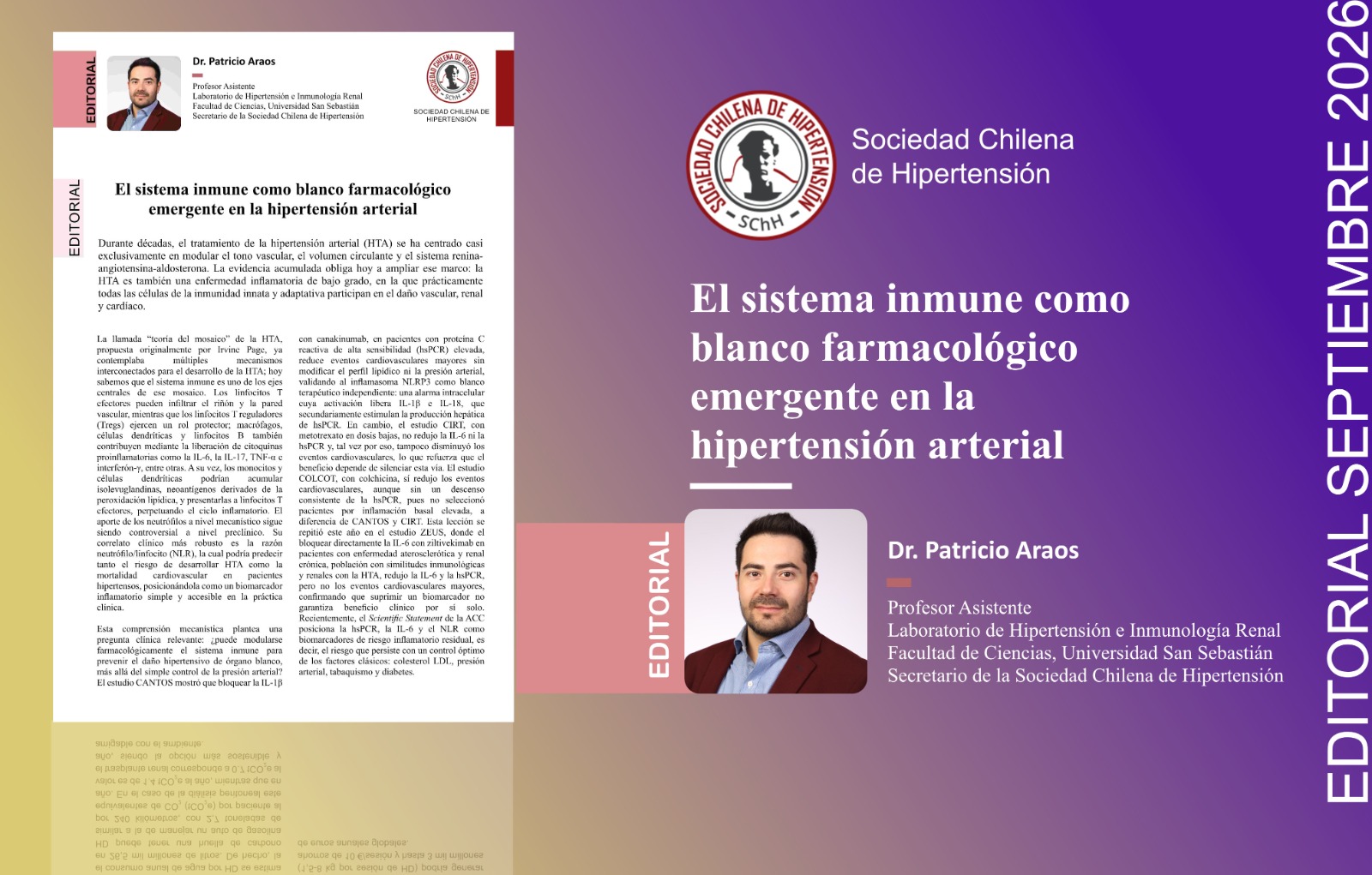 El sistema inmune como blanco farmacológico
emergente en la hipertensión arterial